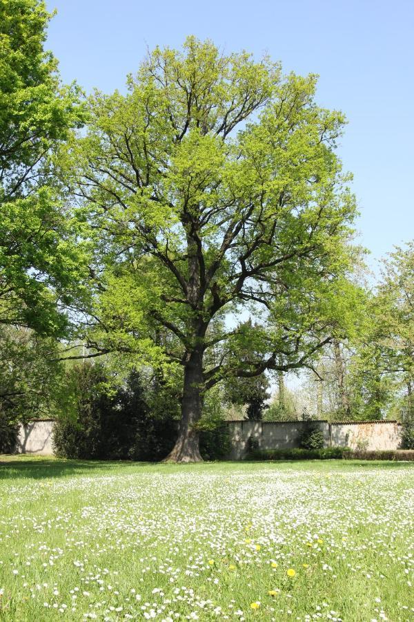 Storica Quercia B&B Nerviano Eksteriør bilde